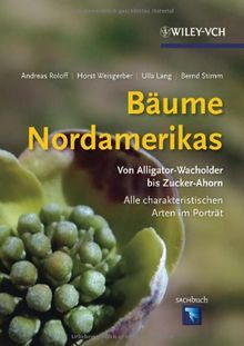 Bäume Nordamerikas: Von Alligator-Wachholder bis Zuckerahorn. Alle charakteristischen Arten im Porträt