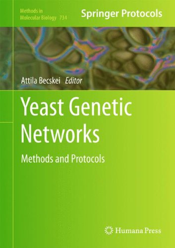 Yeast Genetic Networks: Methods and Protocols (Methods in Molecular Biology)