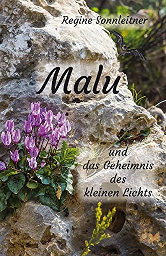 Malu und das Geheimnis des kleinen Lichts