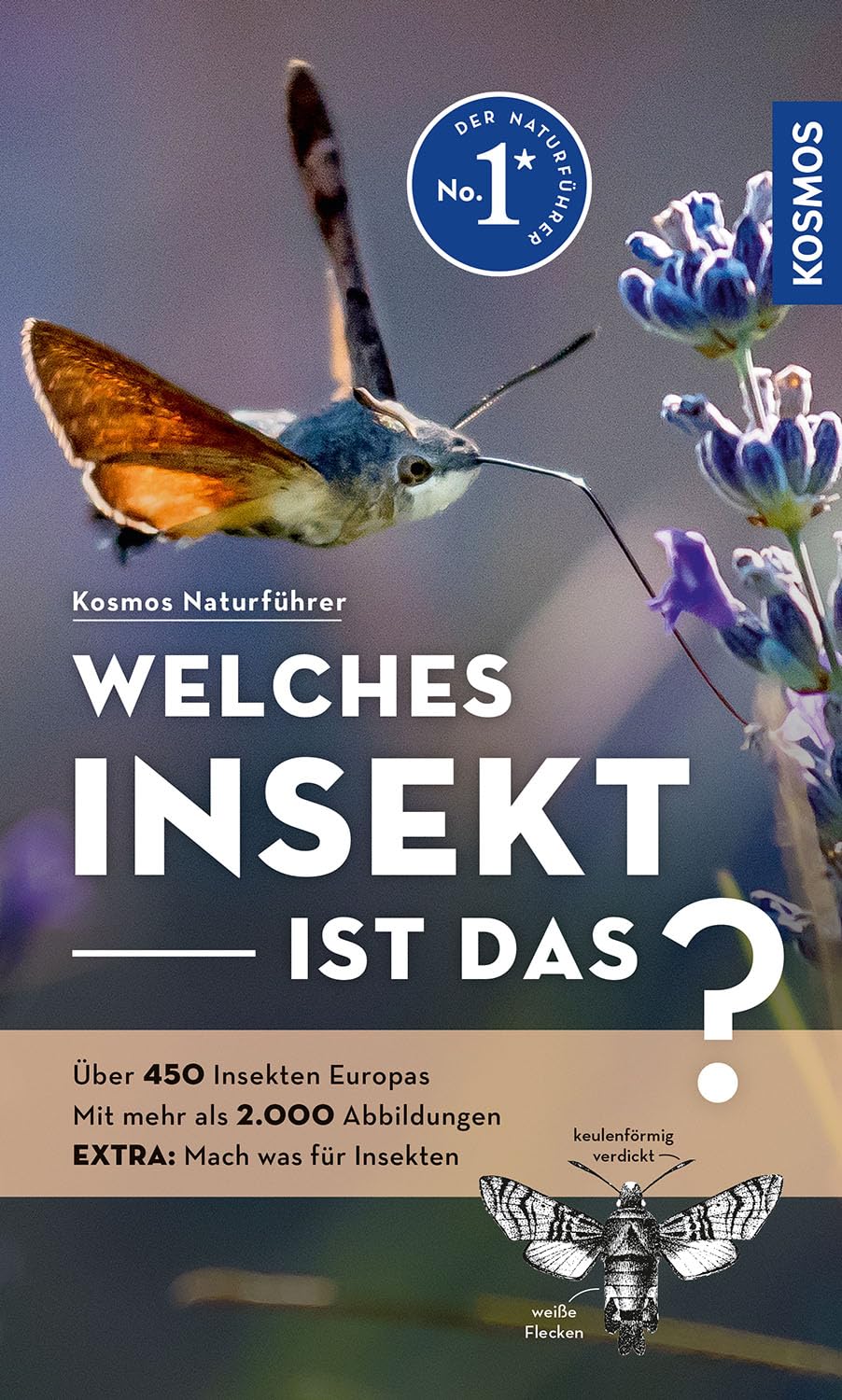 Welches Insekt ist das?: Über 450 Insekten Europas, mehr als 2.000 Abbildungen EXTRA: Mach was für Insekten - mit Kosmos-plus-App