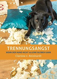 Trennungsangst: Wenn der Hund nicht alleine bleiben kann