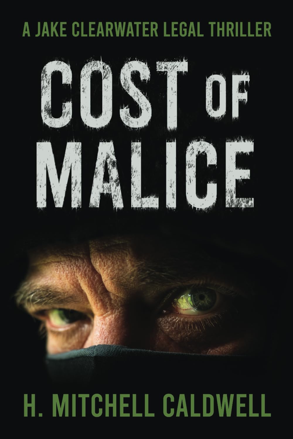 Cost of Malice: A Jake Clearwater Legal Thriller (Jake Clearwater Legal Thriller Series, Band 3)