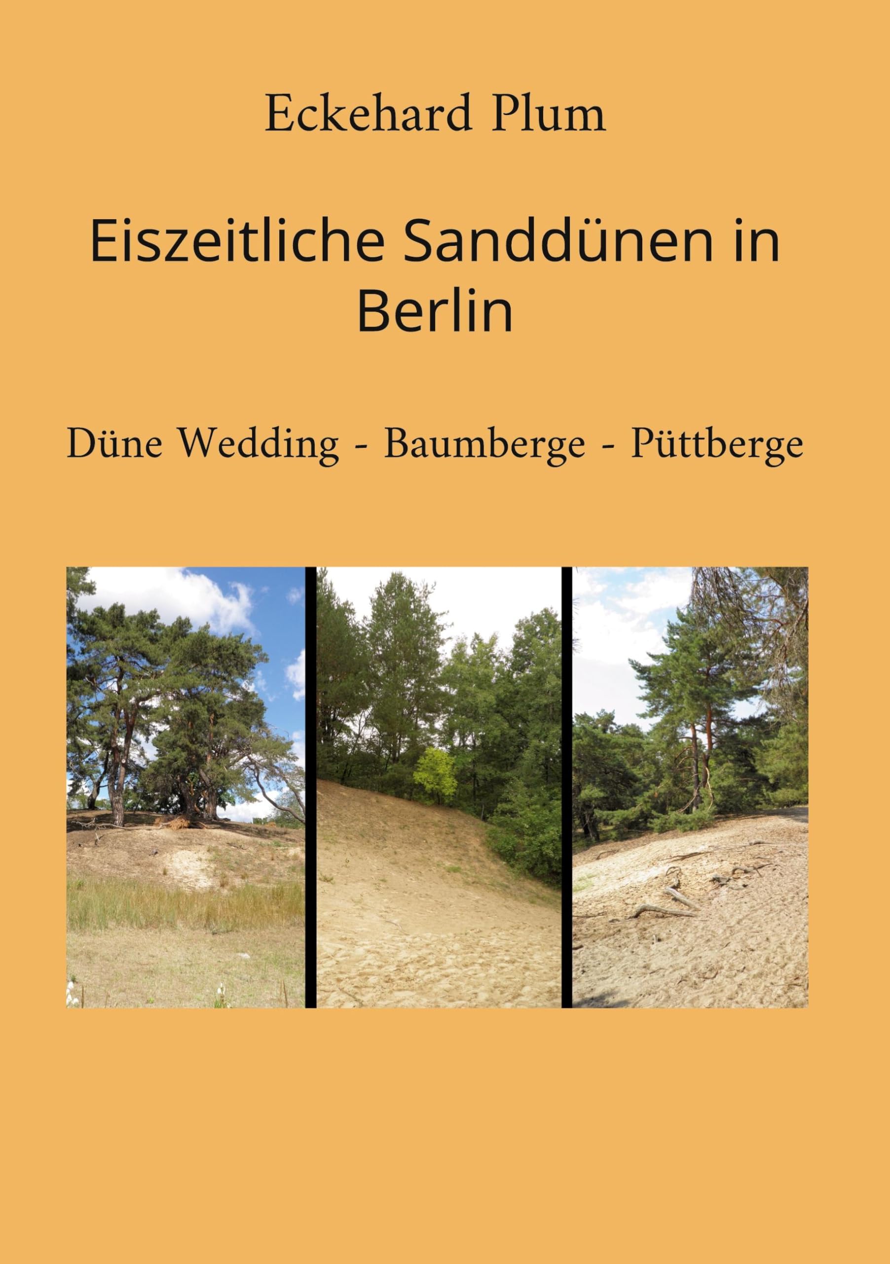 Eiszeitliche Sanddünen in Berlin: Düne Wedding - Baumberge - Püttberge