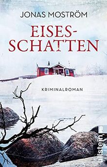 Eisesschatten: Kriminalroman (Ein Nathalie-Svensson-Krimi, Band 5)