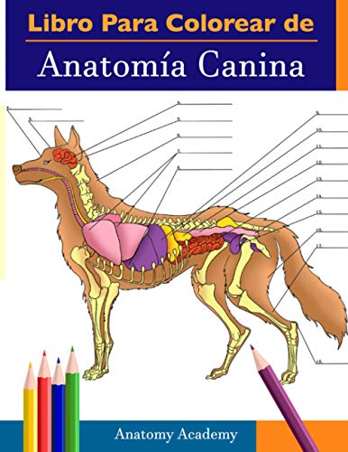Libro para colorear de Anatomía Canina: Libro de Colores de Autoevaluación Muy Detallado de Anatomía Canina | El Regalo Perfecto Para Estudiantes de Veterinaria, Amantes de los Perros y Adultos
