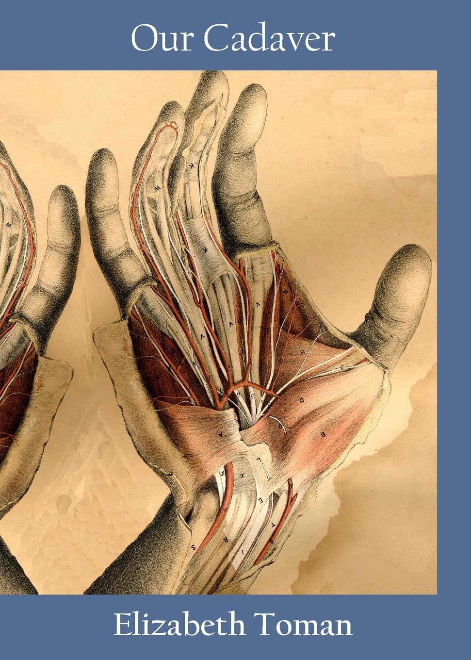 Oelder Buchhandlung – Lange Str, 59302 Oelde