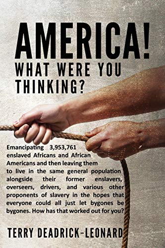 America! What Were You Thinking?: Emancipating 3,953,761 enslaved Africans and African Americans and then leaving them to live in the same general ... and various other proponents of slavery in
