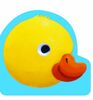 OH ! LE PETIT CANARD ! NE