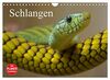 Schlangen (Wandkalender 2023 DIN A4 quer), Calvendo Monatskalender