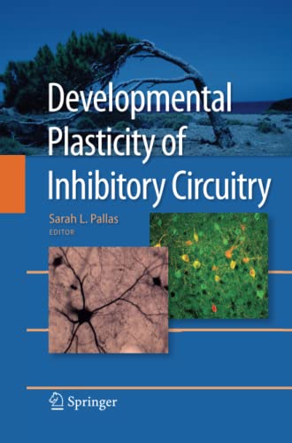 Developmental Plasticity of Inhibitory Circuitry