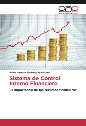 Sistema de Control Interno Financiero: La importancia de tus recursos financieros