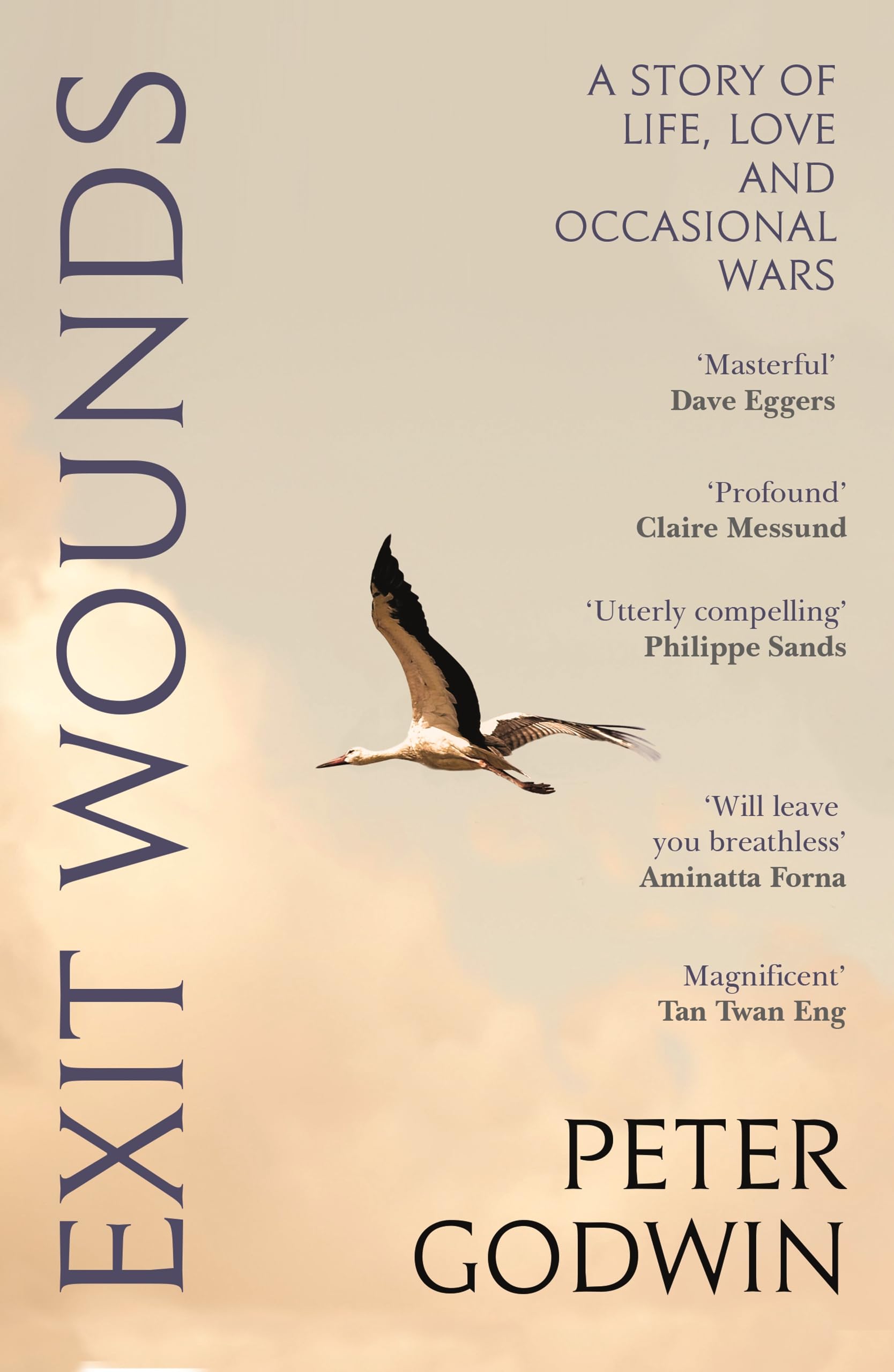 Peter Godwin Exit Wounds, A Story Of Love, Loss And Occasional Wars