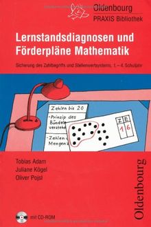 Lernstandsdiagnosen und Förderpläne Mathematik: Sicherung des Zahlbegriffs und Stellenwertsystems, 1.-4. Schuljahr, mit CD-ROM