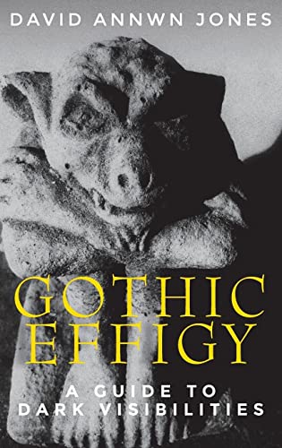 Gothic effigy: A guide to dark visibilities