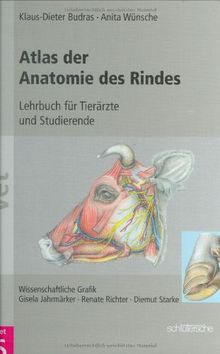 Atlas der Anatomie des Rindes. Lehrbuch für Tierärzte und Studierende