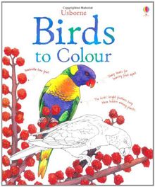 Birds to Colour (Nature Colouring Books)