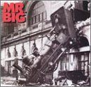 Lean Into It [Musikkassette] de Mr Big | CD | état bon