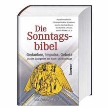 Die Sonntagsbibel - Gedanken, Impulse, Gebete zu den Evangelien der Sonn- und Feiertage: Gedanken, Impulse, Gebete zu den Evangelien der Sonn- und Feiertage. Lesejahr A, B und C