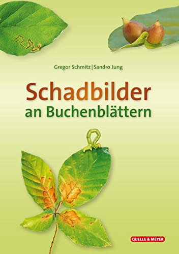 Schadbilder an Buchenblättern - Gregor Schmitz Sando Jung Kartoniert (TB)