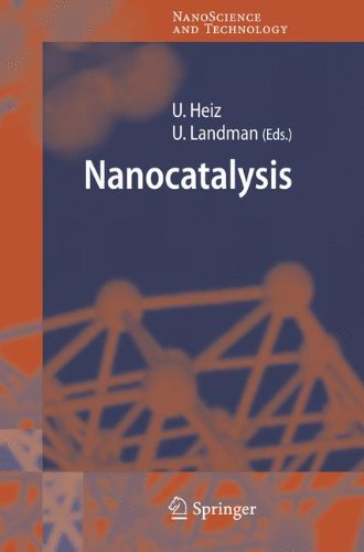 Nanocatalysis (NanoScience and Technology)