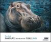 Tim Flach: Porträts bedrohter Tiere 2021 – Tier-Fotografie – Wandkalender 58,4 x 48,5 cm – Spiralbindung
