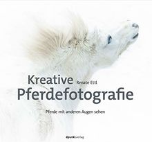 Kreative Pferdefotografie: Pferde mit anderen Augen sehen