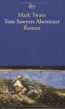 Tom Sawyers Abenteuer: Roman