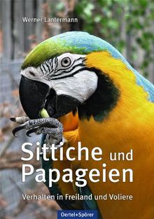 Sittiche und Papageien: Verhalten in Freiland und Voliere