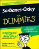 Sarbanes-Oxley For Dummies (For Dummies (Lifestyles Paperback))