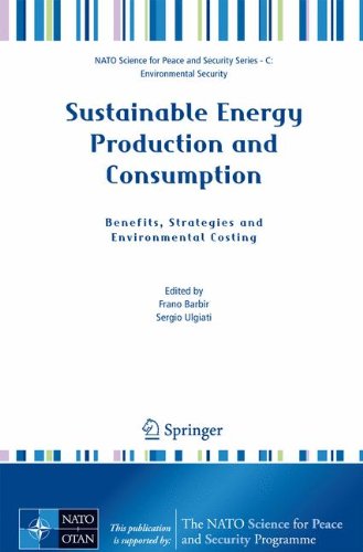 Sustainable Energy Production and Consumption: Benefits, Strategies and Environmental Costing (NATO Science for Peace and Security Series C: Environmental Security)