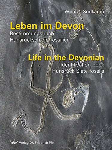 Leben im Devon   Life in the Devonian - Wouter Südkamp Gebunden