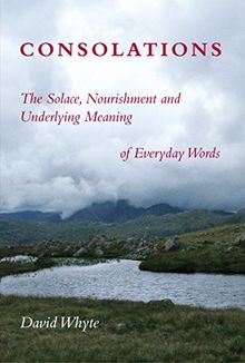 Consolations: The Solace, Nourishment, and the Underlying Meaning of Everyday Words
