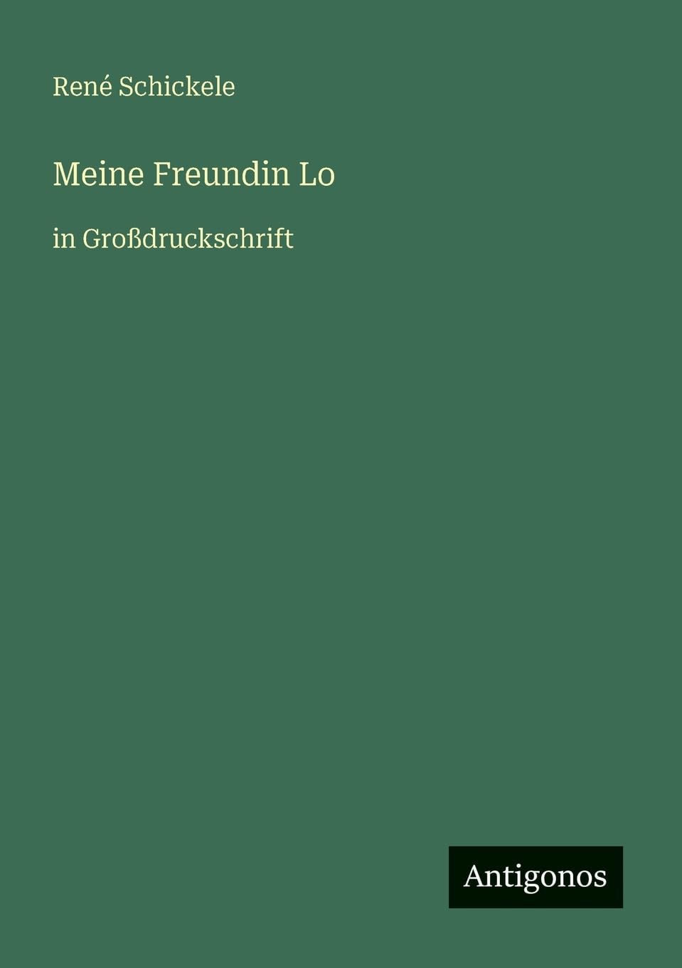 Meine Freundin Lo: in Großdruckschrift