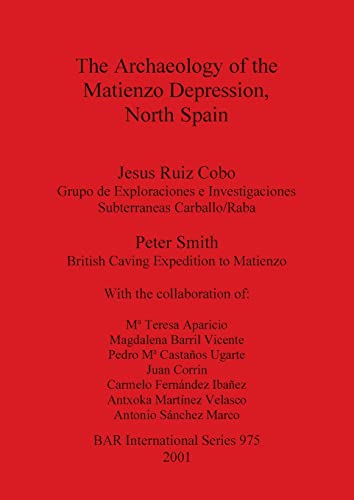 The Archaeology of the Matienzo Depression, North Spain (British Archaeological Reports, Band 975)