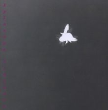 Lucia Ronchetti: Xylocopa Violacea - Solo per viola and live-electronics