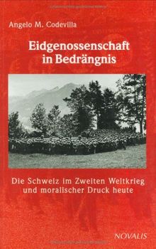 Eidgenossenschaft in Bedrängnis