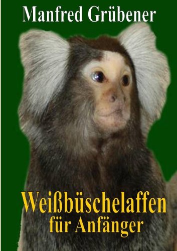 Weißbüschelaffen: für Anfänger