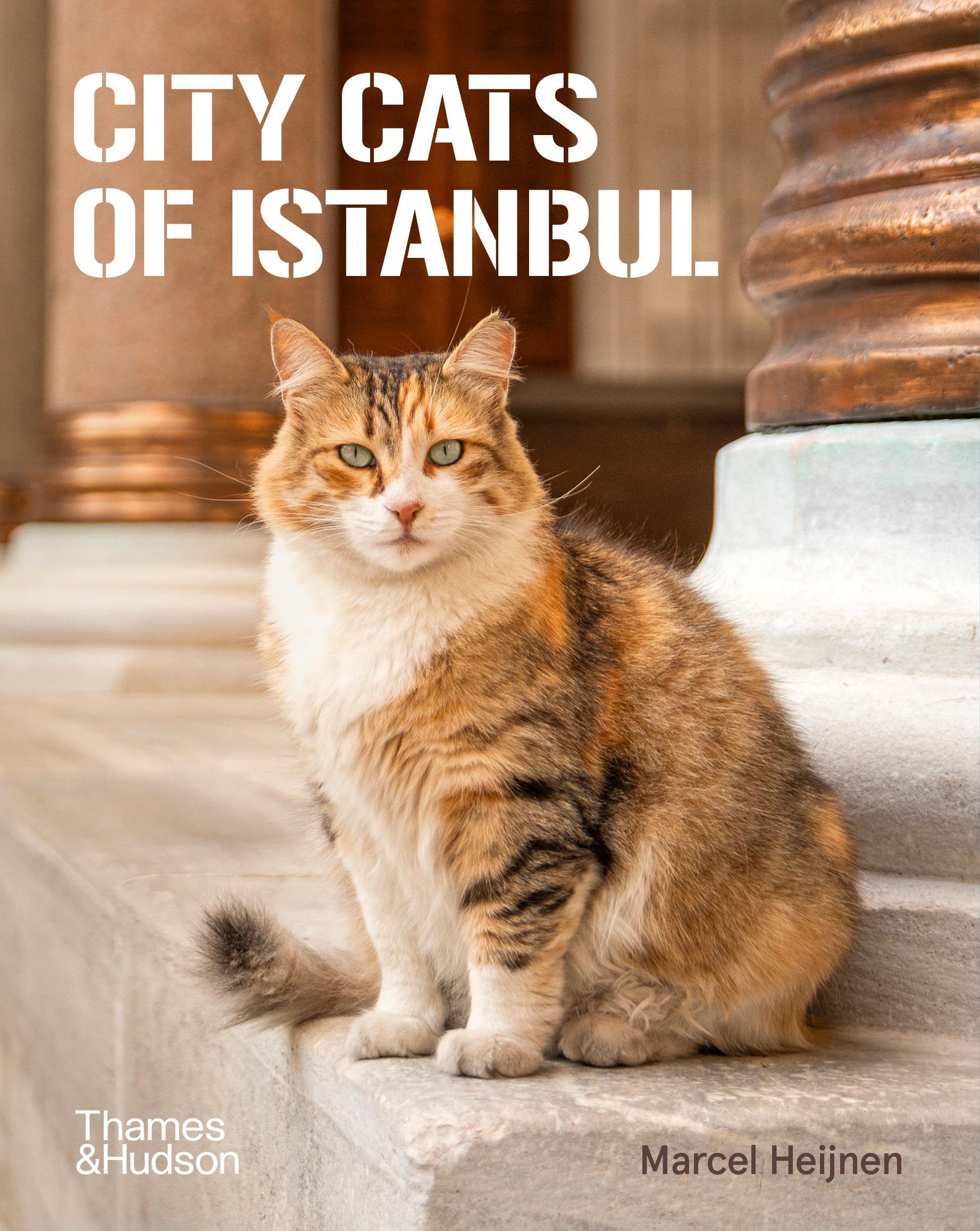 Marcel Heijnen City Cats Of Istanbul