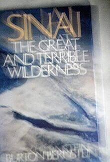 Sinai : The Great and Terrible Wilderness