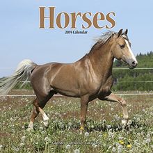 Horses Calendar 2019