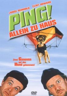 Ping! - Allein zu Haus