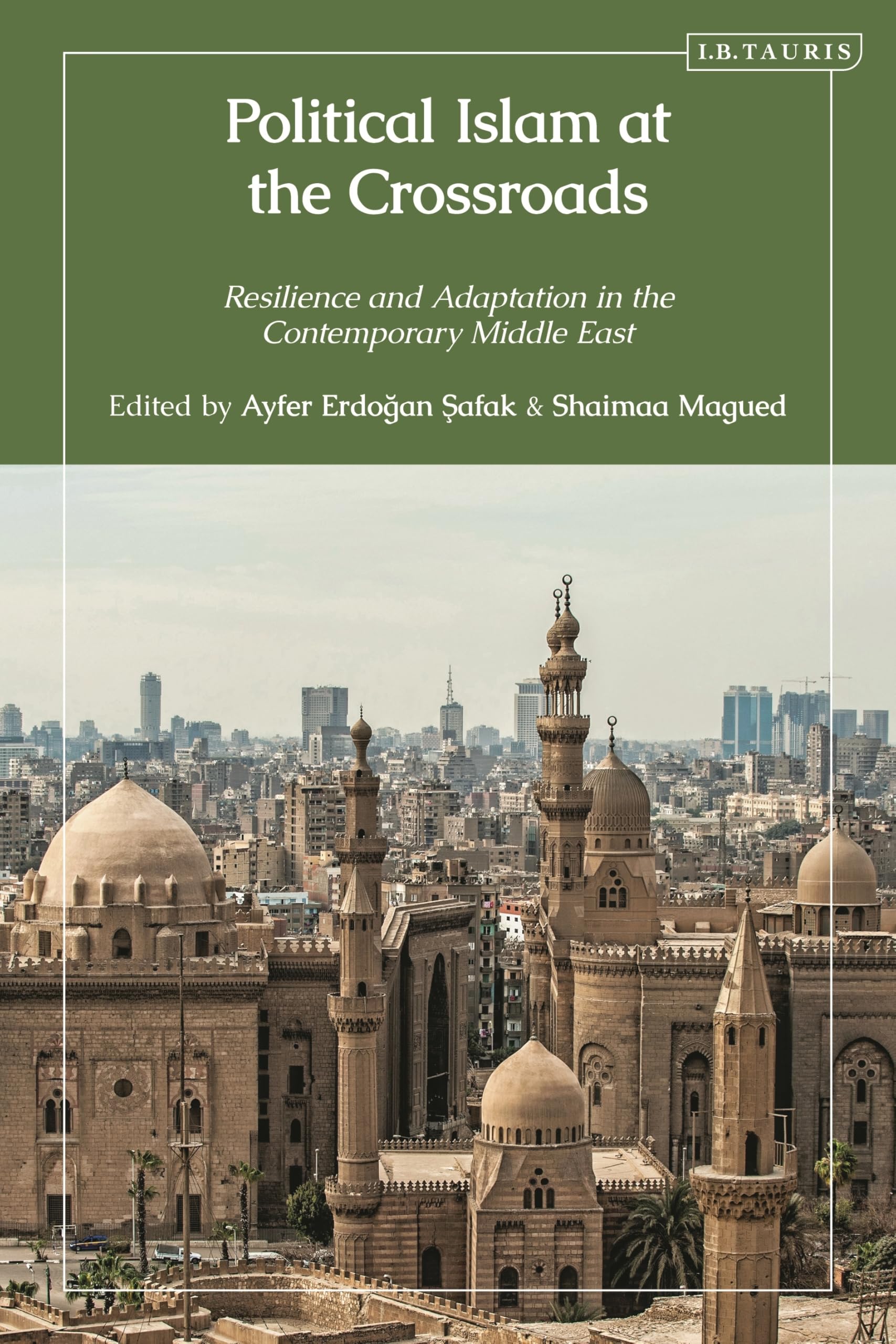 Political Islam at the Crossroads: Resilience and Adaptation in the Contemporary Middle East