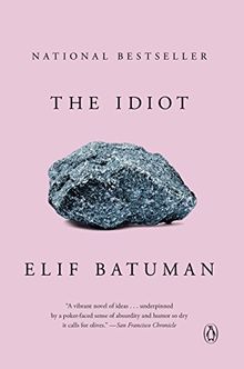 The Idiot: A Novel