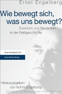 Wie bewegt sich, was uns bewegt?: Evolution und Revolution in der Weltgeschichte
