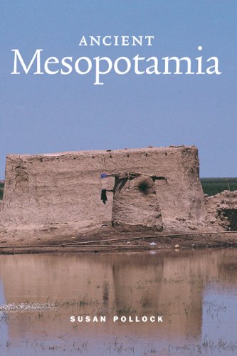 Susan Pollock Ancient Mesopotamia (Case Studies In Early Societies, Band 1)