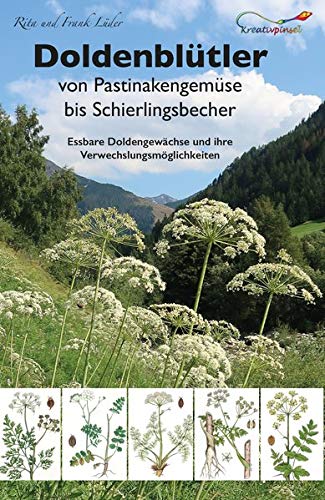 Doldenblütler von Pastinakengemüse bis Schierlingsbecher: Essbare Doldengewächse und ihre Verwechslungsmöglichkeiten