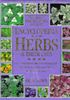 Royal Horticultural Society Encyclopedia of Herbs and Their Uses (RHS)