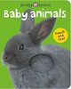 BRIGHT BABY T F BABY ANIMALS (Bright Baby Touch and Feel)