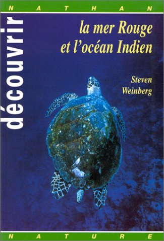 The Quantum Theory of Fields: Volume 2 von Steven Weinberg