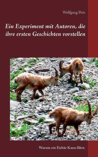 Ein Experiment mit Autoren, die ihre ersten Geschichten vorstellen: Warum ein Eisbär Kanu fährt